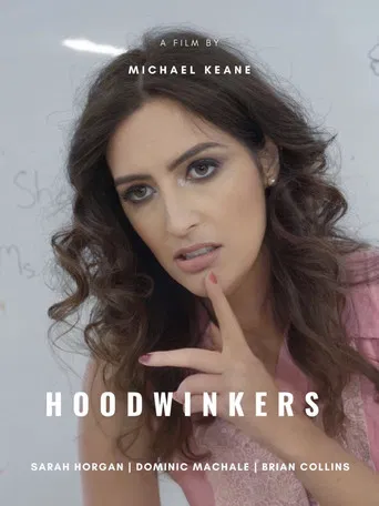 Hoodwinkers poster
