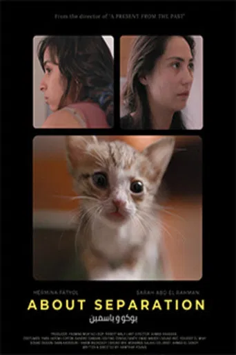 About Separation poster