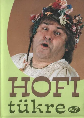 Hofi tükre No.7 poster