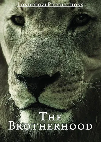 The Brotherhood poster