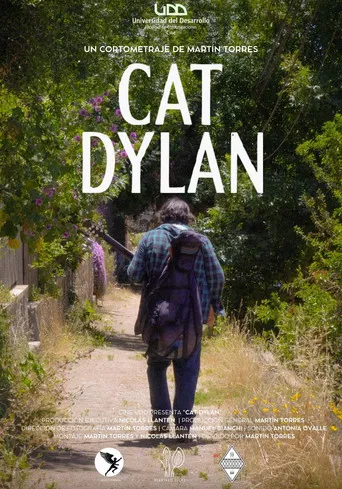 Cat Dylan poster