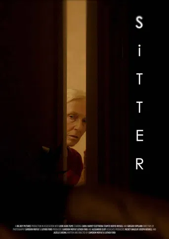 Sitter poster