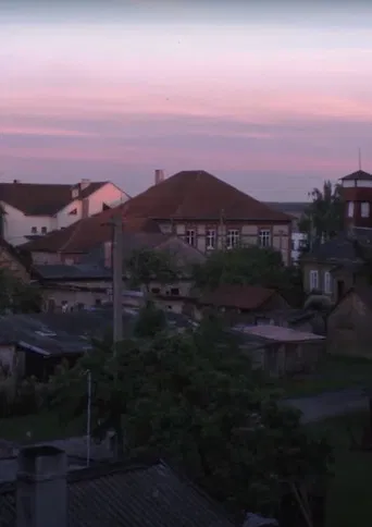 Peafowls Flew Away and Took My Thoughts With Them poster