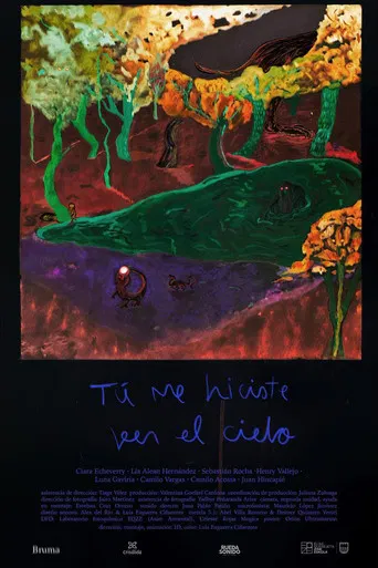 You Made Me See the Sky poster