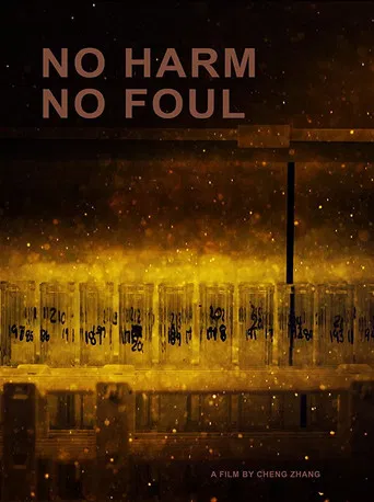 No Harm No Foul poster