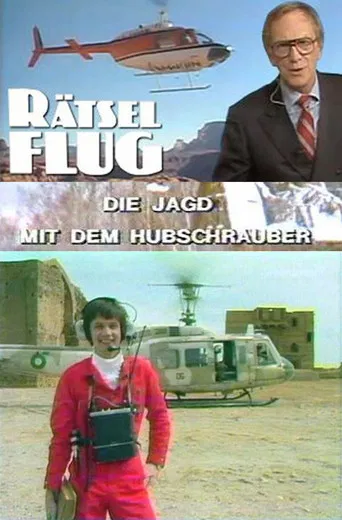 Rätselflug poster