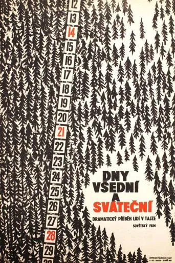 Weekdays and Holidays poster