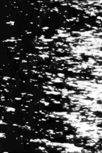 Waiting to Disappear poster