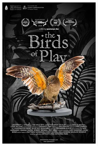 The Birds of Play poster