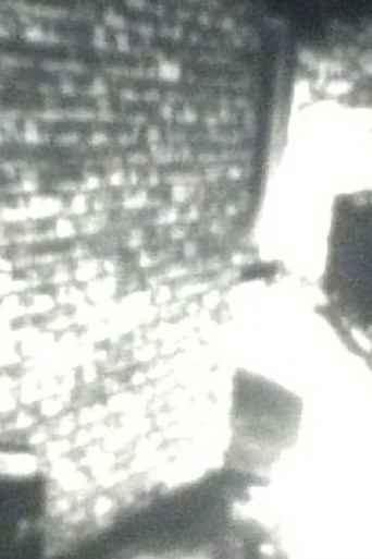 Stillness of the Garden poster