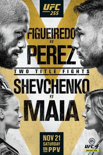UFC 255: Figueiredo vs. Perez poster