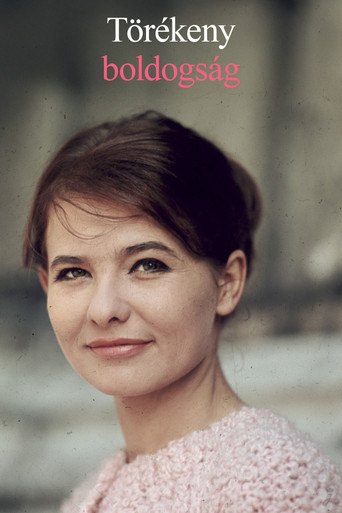 Törékeny boldogság poster