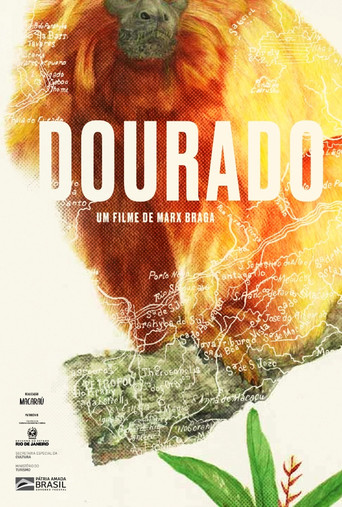 Dourado poster