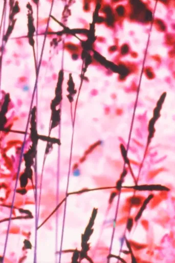 Hank and Mary Without Apologies poster