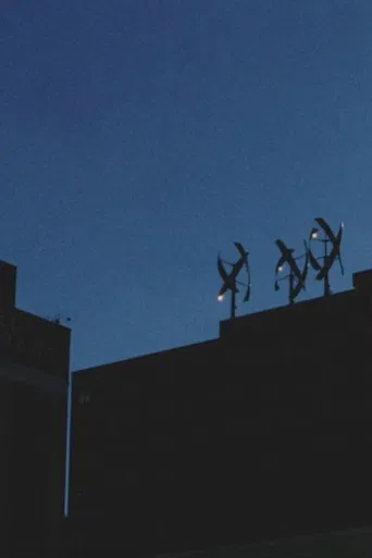 A Century Plant in Bloom poster