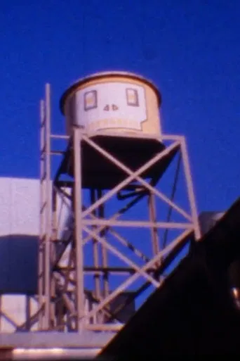 Happy Birthday, Ally! poster