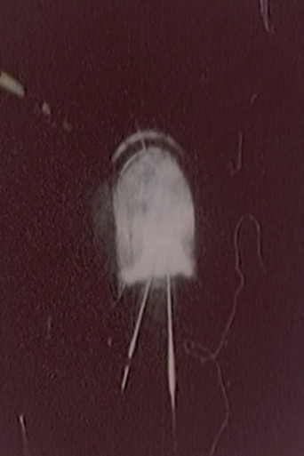 Hibaku Ningen X poster