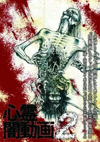 Psychic Darkness Video 2 poster