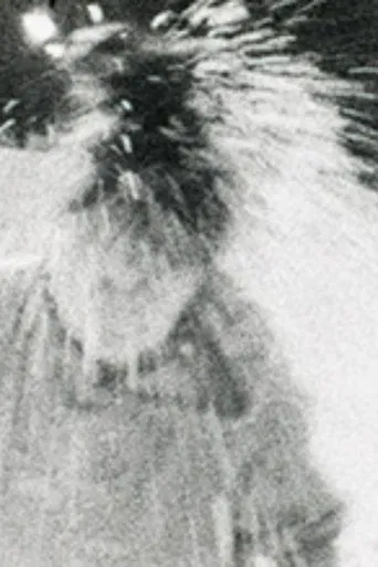 Moi et le Boff Zen poster