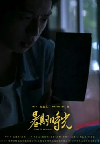 Lost in Summer poster