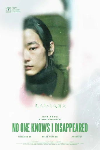 No One Knows I Disappeared poster