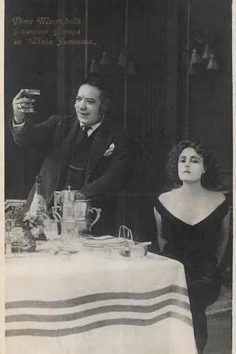 L' ospite sconosciuta poster