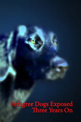 Pedigree Dogs Exposed: Three Years On poster
