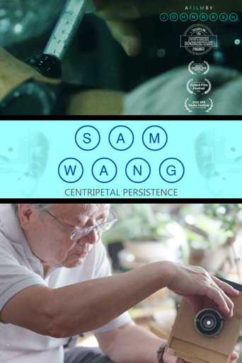 Sam Wang: Centripetal Persistence poster