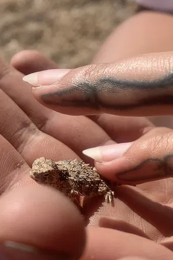 ✧Ⓑ☠☻Ⓛ♡Ⓞ✇☟Ⓞ☁☽Ⓓ✰ ⓜⓐⓣⓔⓡⓘⓐⓛⓢ✦ poster