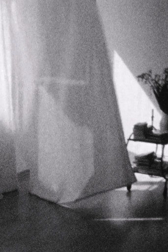 Weiße Vorhänge poster