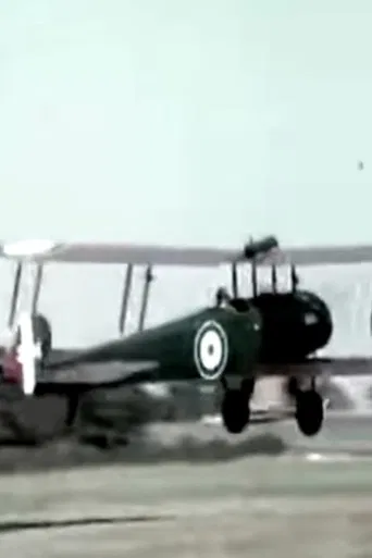 The Wind in the Wires poster