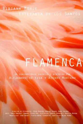 Flamenca poster