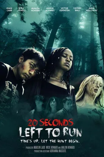 20 Seconds Left to Run poster