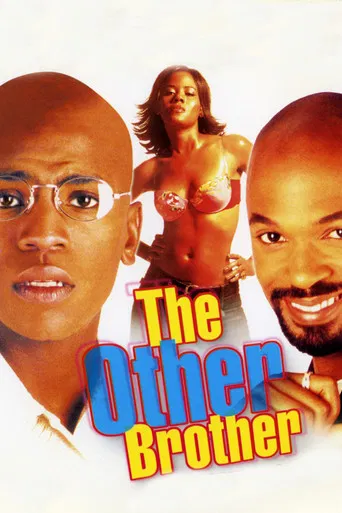 The Other Brother poster