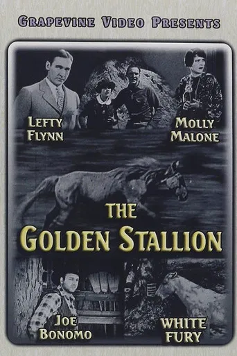 The Golden Stallion poster