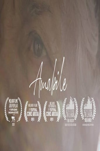 Amabile poster