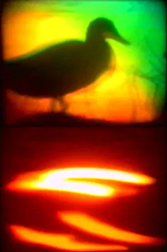 Ya Private Sky poster