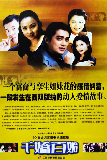 千娇百媚 poster