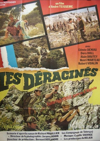Les Déracinés poster