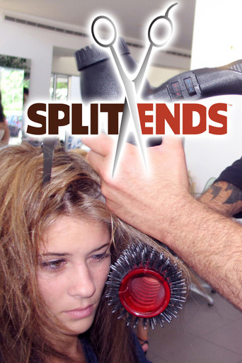 Split Ends poster