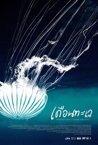 Moonlight under the Sea poster