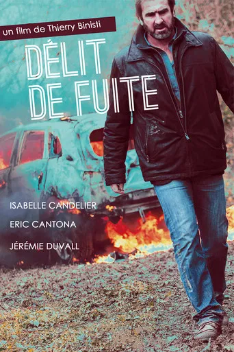 Délit de fuite poster