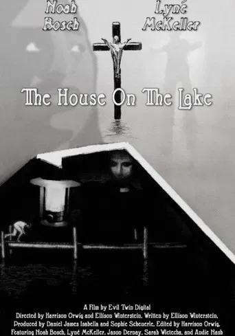 The House On The Lake poster