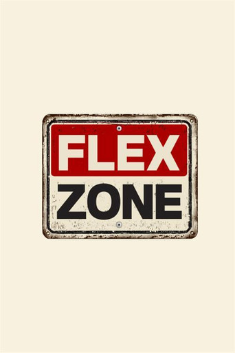 FLEX ZONE poster