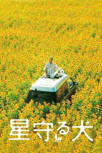 Star Watching Dog poster