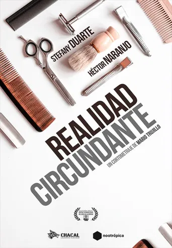 Surrounding Reality poster