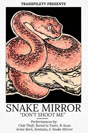 Don't Shoot Me: The Snake Mirror Weekend Tour poster