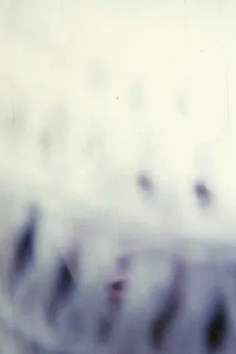 The Destructive Light Will Come poster