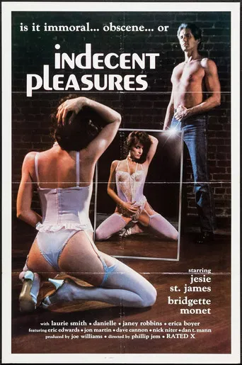 Indecent Pleasures poster