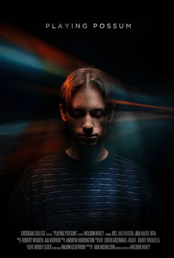 Playing Possum poster